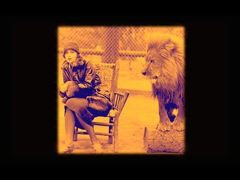 Sarah Jeanne Ziegler - Le Lion est mort ce soir