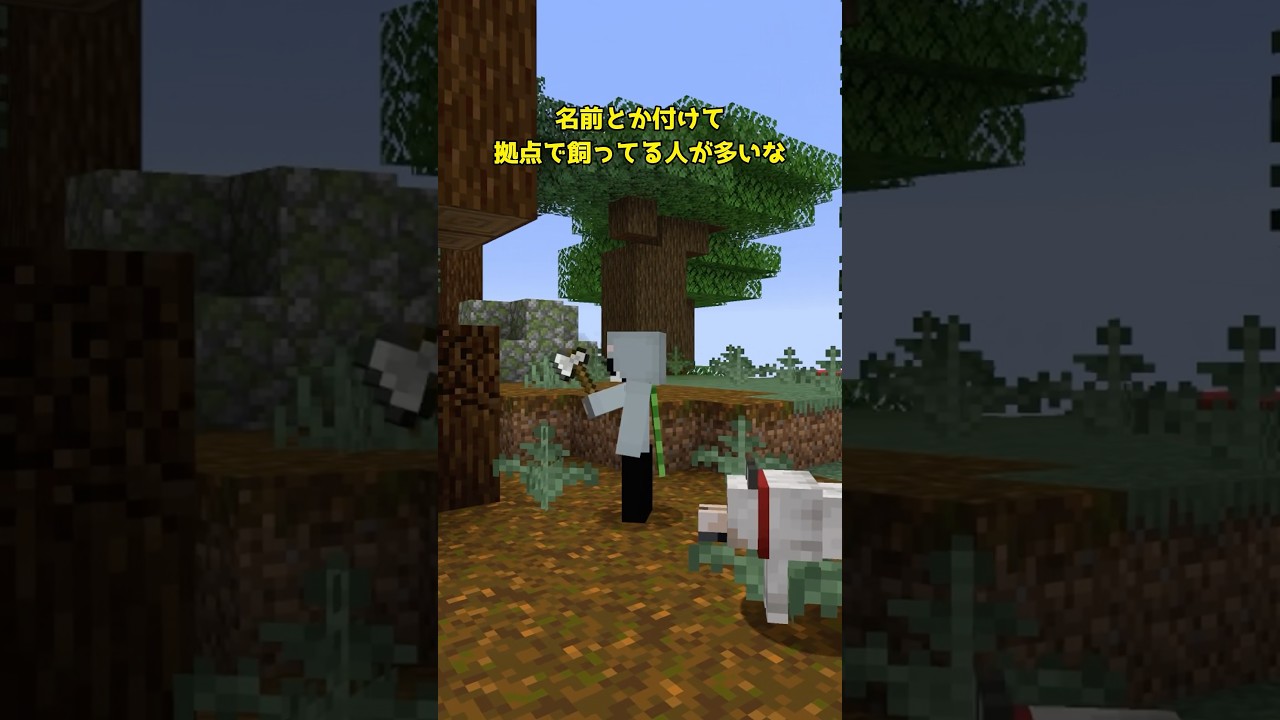 村人が大事にしてる動物がいます【マイクラ】