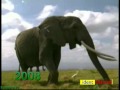 Animal planet 1996  2008