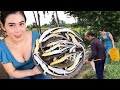 Fried Lizard With Lemongrass And Chili/Rắn Mối Chiên Sả Ớt/Beautiful Girl Cooking/Survival Skills