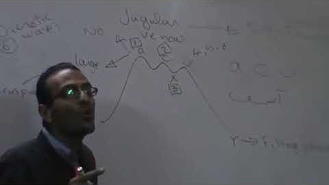 CVS Cardiac Cycle 5 Diastolic Curves Dr Mohamed Fayez