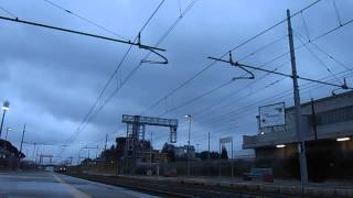 IL CANTO DEL CAIMANO E656.063!!