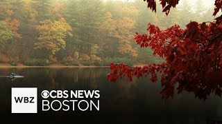 Scientists using Henry David Thoreau's book to study climate change in Massachusetts