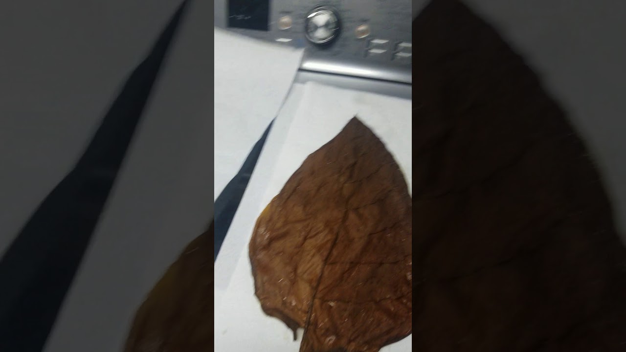 How to clean backwoods/Leafs for better/Cleaner smoke