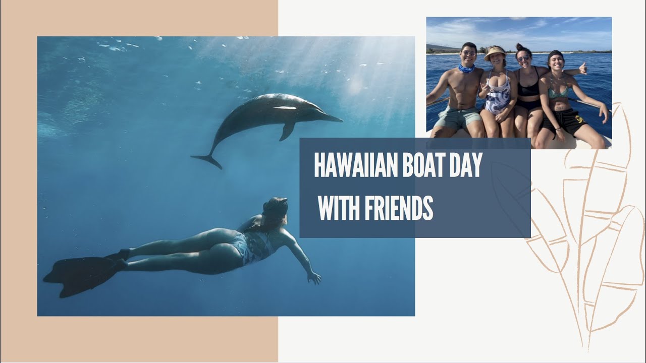 freediving with dolphins while pregnant HAWAII day in the life YouTube