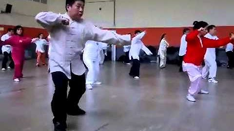 Authentic Yang Tai Chi Consecutive Fajin Gong Demo By Master James Fu