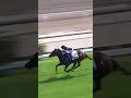 2 | SALON S | M F Poon | #MFPoon #Poon #Horse #Racing #Sport #Results #賽馬結果 #马會 #油管 #赛马结果