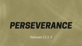Perseverance Lesson 2