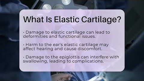 What Is Elastic Cartilage? - Orthopedic Support Network