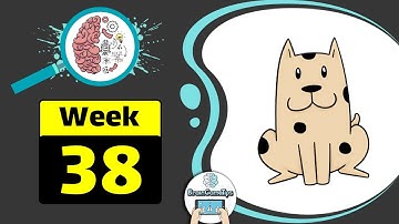 Brain Test Week 38 Where is the dog with 4 spots walkthrough