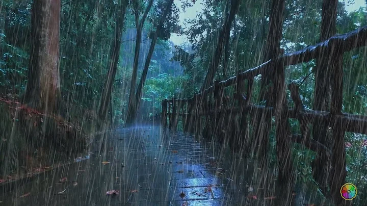 ✅【白噪音】树林美丽的雨声和雷声，极度舒适雨声，睡眠，放松，治疗，专注，学习，正念，助眠，入睡，减压，asmr，rain sounds for sleeping - 天天要闻