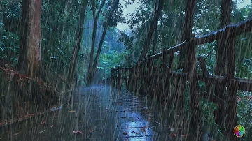 ✅【白噪音】樹林美麗的雨聲和雷聲，極度舒適雨聲，睡眠，放鬆，治療，專注，學習，正念，助眠，入睡，減壓，asmr，rain sounds for sleeping