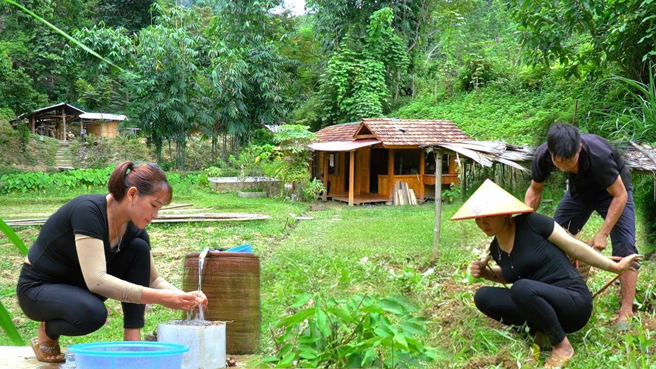 Together Harvest agricultural products, make land, raise livestock, do new business. Live happily