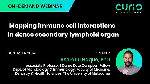 Webinar: Mapping immune cell interactions in dense secondary lymphoid organ