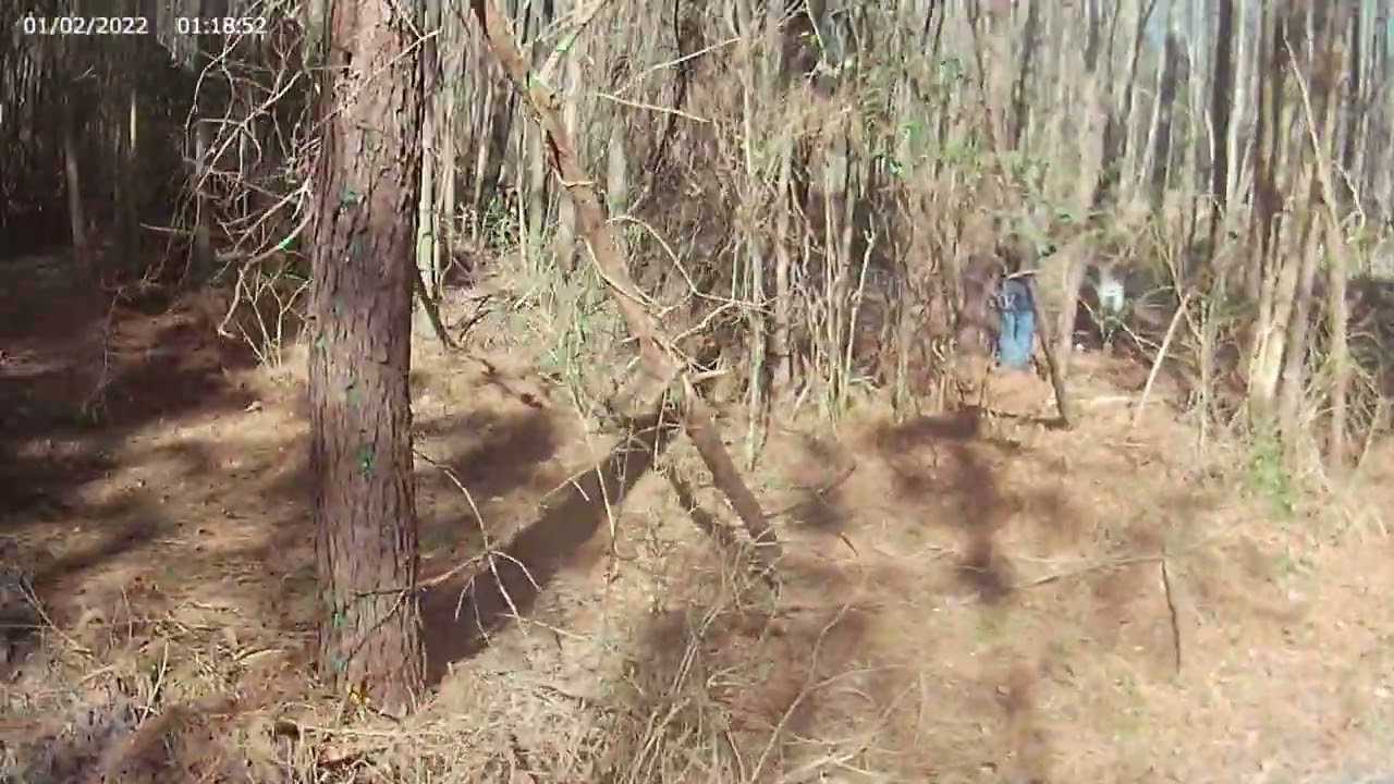 Bones n Ashes 2024   17