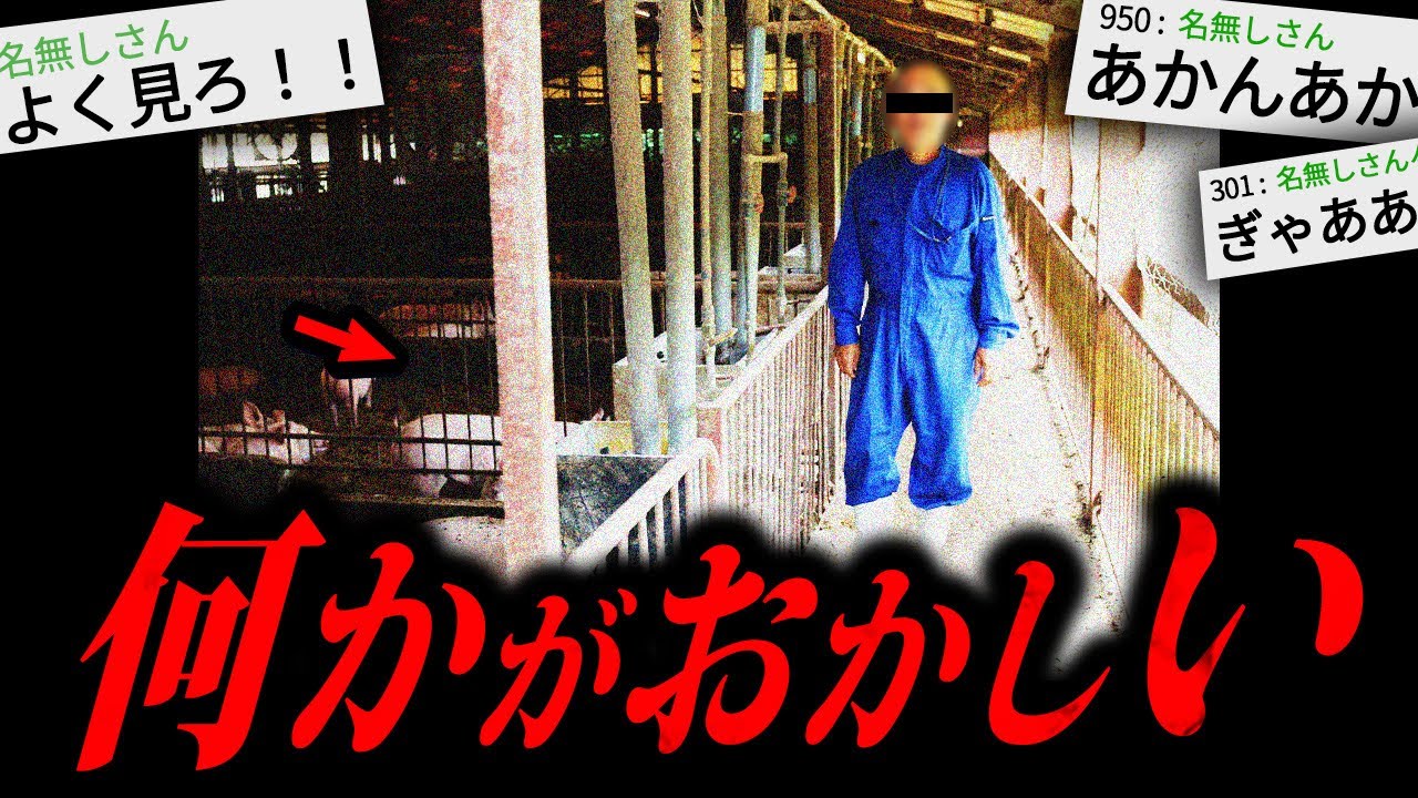 【トラウマ注意】最後まで聞いたら100%後悔する怖い話「養豚場」