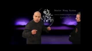 Wing Chun Training YouTube - With Master Wong EPS 10 screenshot 1