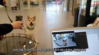Pet Iris Recognition Test