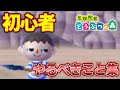 とび森始めたばっかの人はとりあえずこれやろう