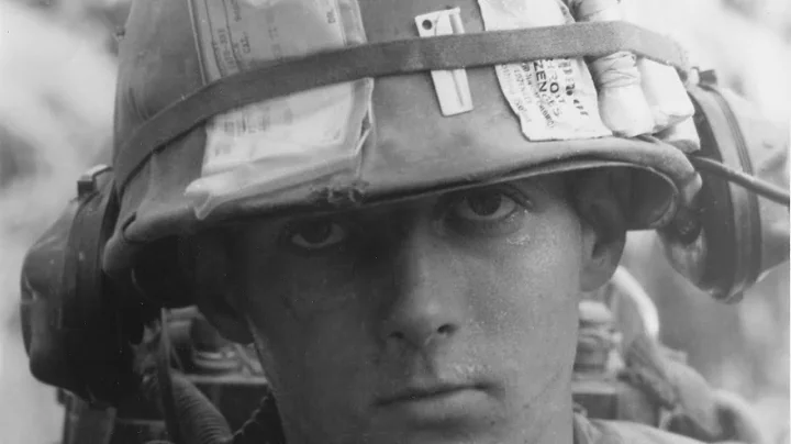 Vietnam Remembered II, Carl Griggs, 5th Special Fo...
