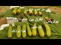 مشاكل ثمار الكوسة مع الشرح الكامل       