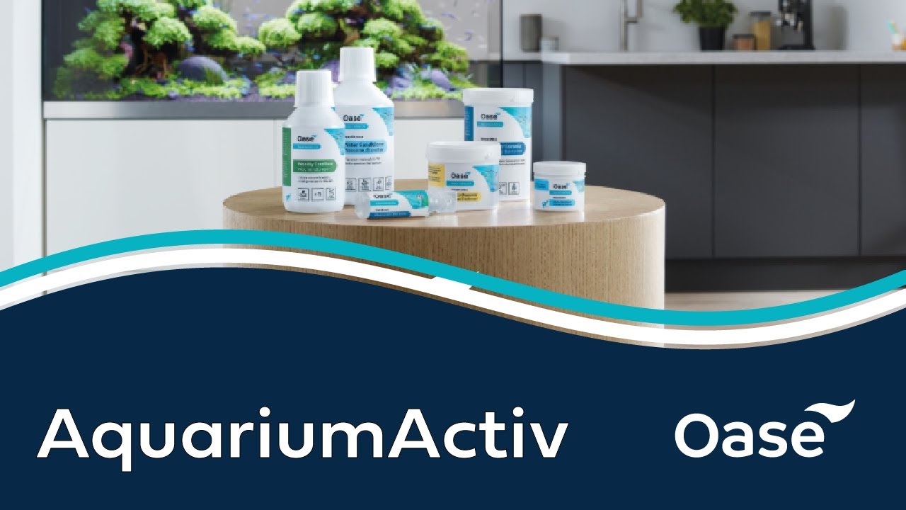 OASE | AquariumActiv | Aquarium