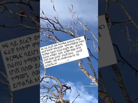 ሁሌም ቢሆን በራሥህ ተማመን 