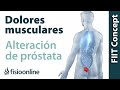 Próstata - Problemas articulares y musculares que puede provocar