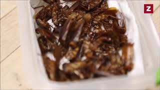 bug chef deep frying tarantulas