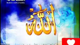 Ay Allah Islamic Whatsapp Status 2019