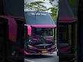 Cinematic Bus Pariwisata U TRANS