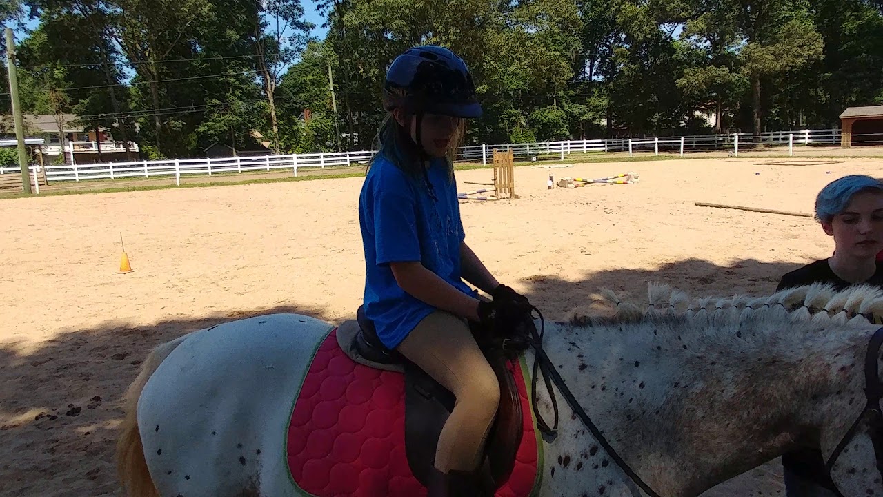 Carlisle Horse Jumping YouTube