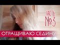 Отращиваю седину. Продолжение эксперимента №3 //Классный тонирующий бальзам