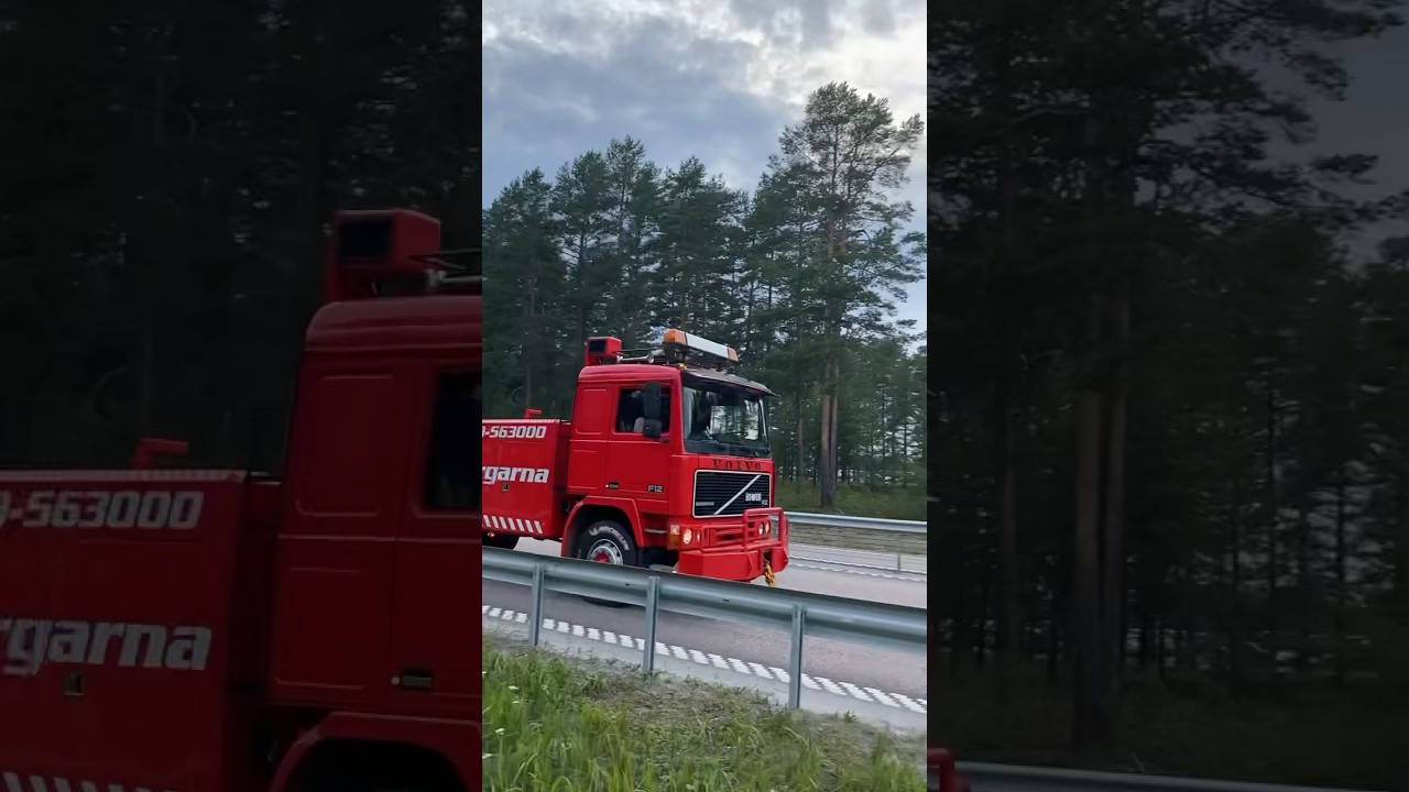 Musical air horn, tone , busuri 4.0 