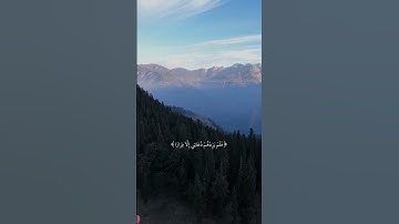اكتب شيء تؤجر عليه ❤️ #قرآن #تلاوة_خاشعة #ماهر_المعيقلي #اكسبلور