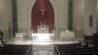 Sunday 11:00 am Mass