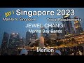 Singapore Travel 2023 | Manila to Singapore | Travel Requirements | Jewel Changi Merlion Marina Bay