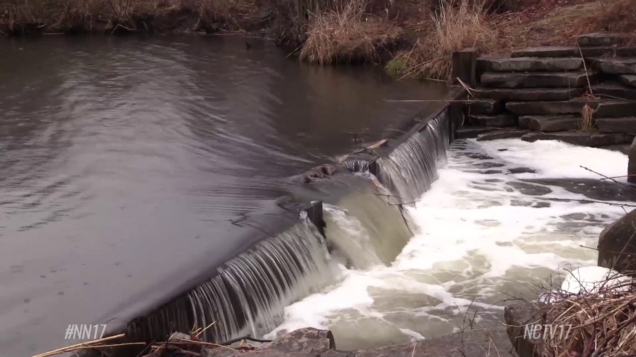 DuPage Forest Preserve Continues Restoration Project