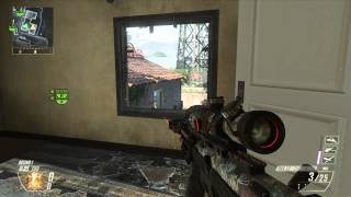 Sick Standoff Window shot on Black ops 2