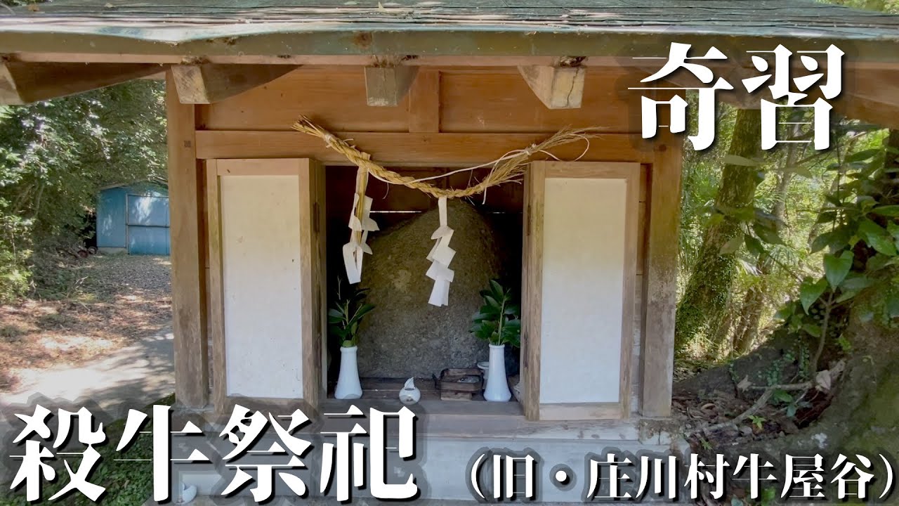 【奇習と釣り探検】旧・庄川村　牛屋谷を釣り調査。【前編】和歌山県西牟婁郡白浜町庄川地区の殺牛祭祀