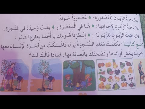 أنتج كتابيا صفحة 73 شجرة تتكلم لغة عربية سنة ثالثة إبتدائي 