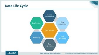 Data Life Cycle