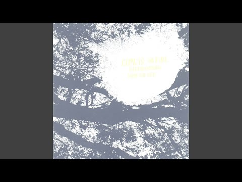 Comets On Fire — The Black Poodle