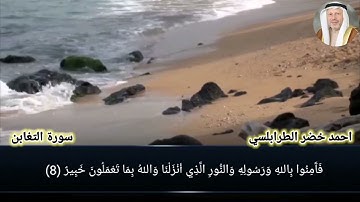 سورة التغابن أحمد خضر الطرابلسي