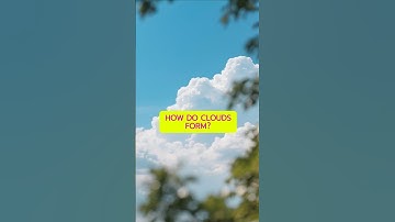 How Do Clouds Form? | Everyday Science Explained
