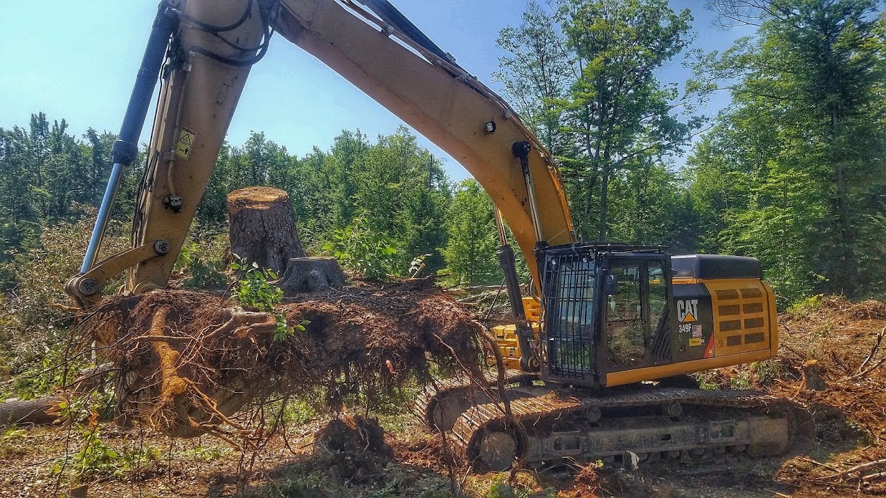 Cat 349F Pulling Big Stumps