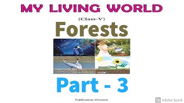 5th class DAV science chapter3 Part3 | Forests