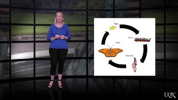 UQx META101x 2.10.1.2 Identity