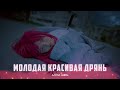 алёна швец. - МОЛОДАЯ КРАСИВАЯ ДРЯНЬ