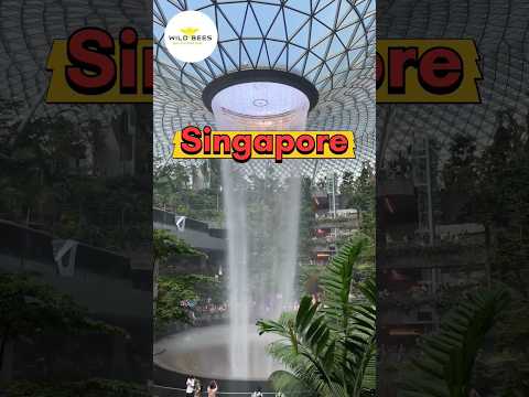 Video: LGBT turistički vodič: Singapur